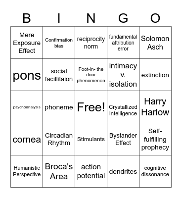 AP Psych Bingo Card