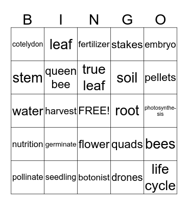 Plant Bingo Card