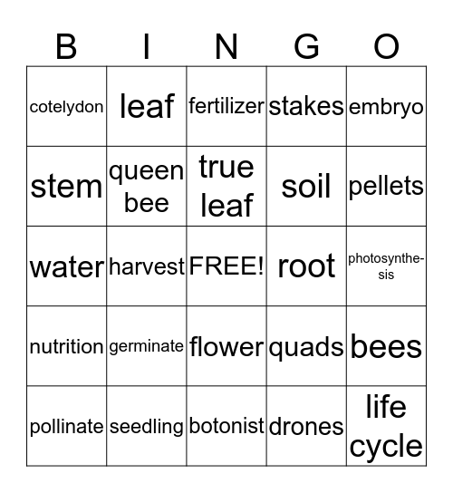 Plant Bingo Card
