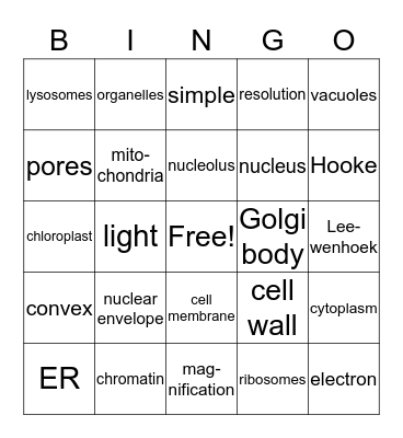 cell organelles Bingo Card