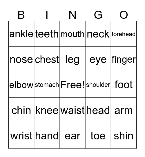 Parts of the body Bingo Card