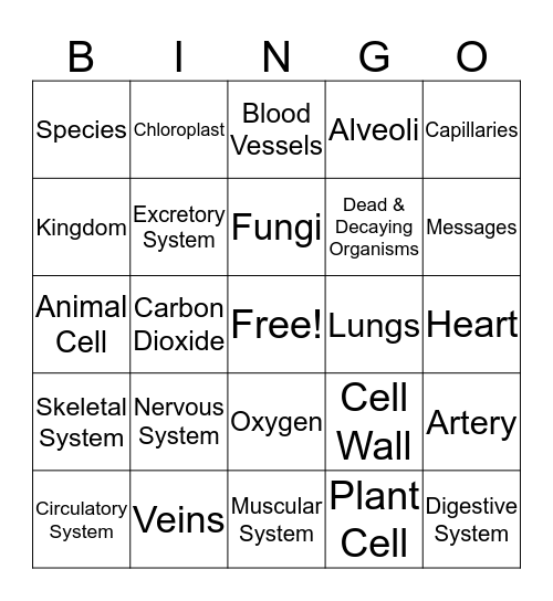 Life Systems Review Bingo Card