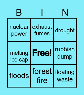 Environment issues Bingo Card