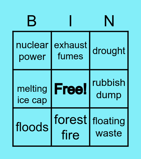 Environment issues Bingo Card