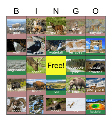 Yellowstone Wildlife Bingo Card