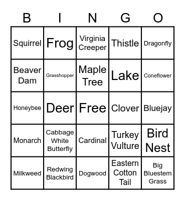 Nature Bingo Card