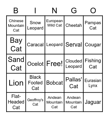 Cat Bingo! Bingo Card