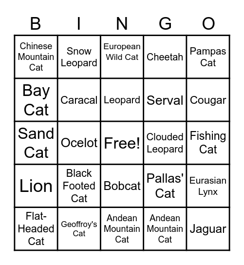 Cat Bingo! Bingo Card