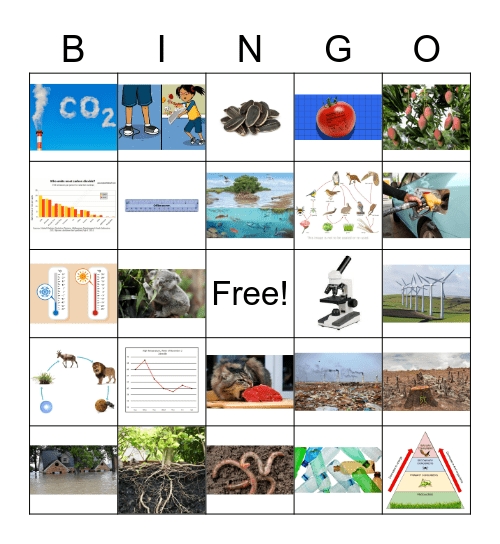 Living Environment Bingo Card