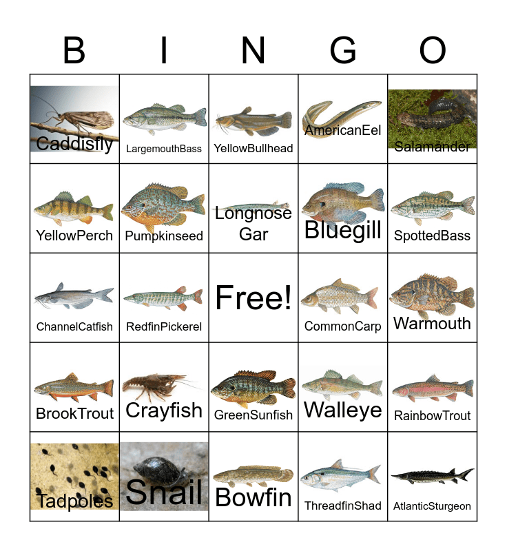 Freshwater Animals of South Carolina Bingo Card