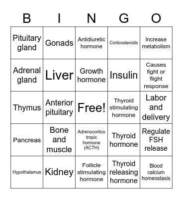 Dunston 142 Rappahannock Community College Endocrine Bingo Card