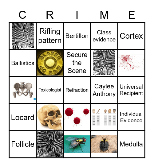 Forensics-O Bingo Card