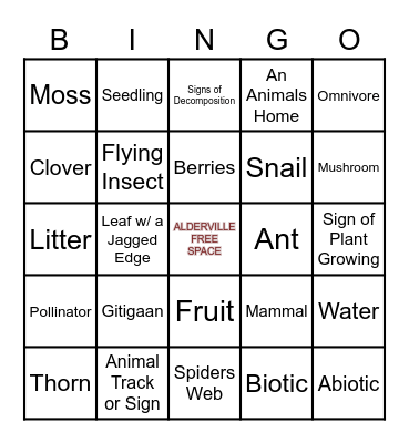 BINGO Scavenger Hunt Bingo Card