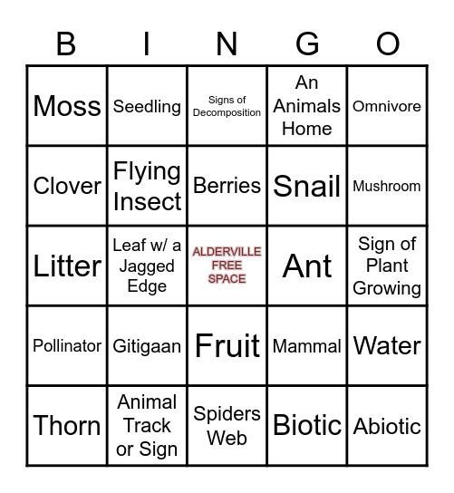 BINGO Scavenger Hunt Bingo Card