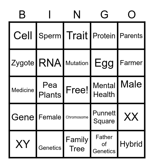 Genetics 1 Bingo Card