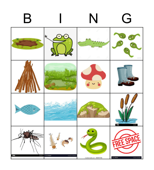 SWAMP STOMP Bingo Card