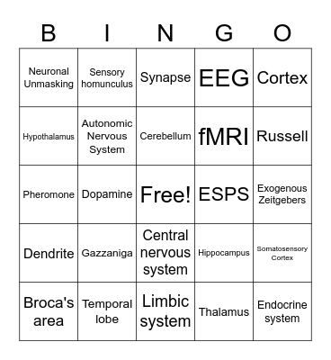Biopsych Bingo Card