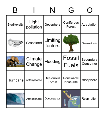 Environmental Science Bingo Card