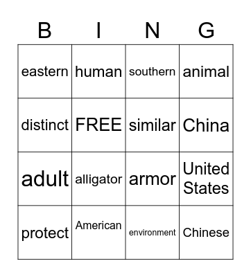 BINGO Card