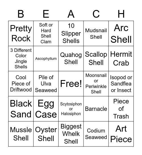 Long Island Sound Bingo Card