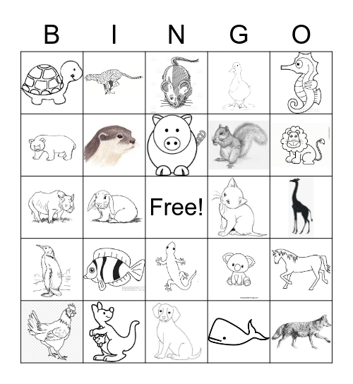 Animal Bingo Card