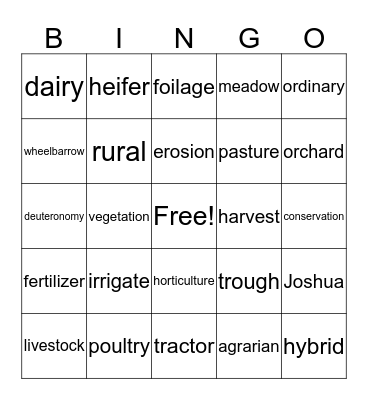 Spelling Bingo Card