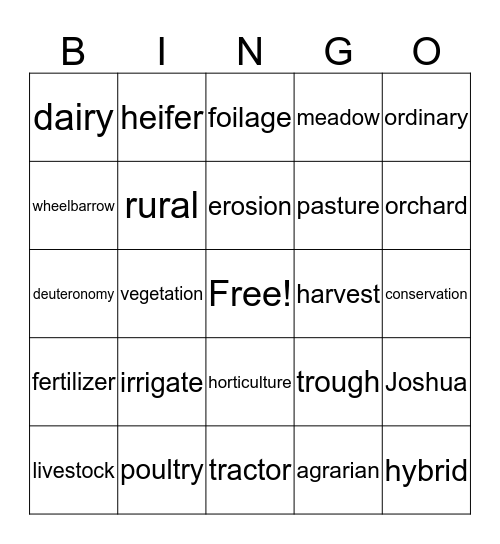 Spelling Bingo Card