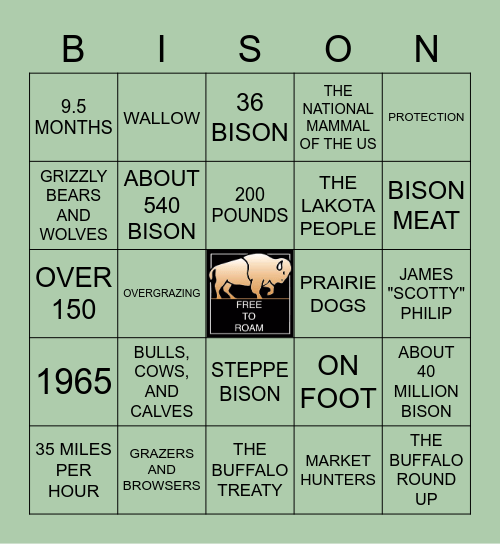 BISON BINGO Card