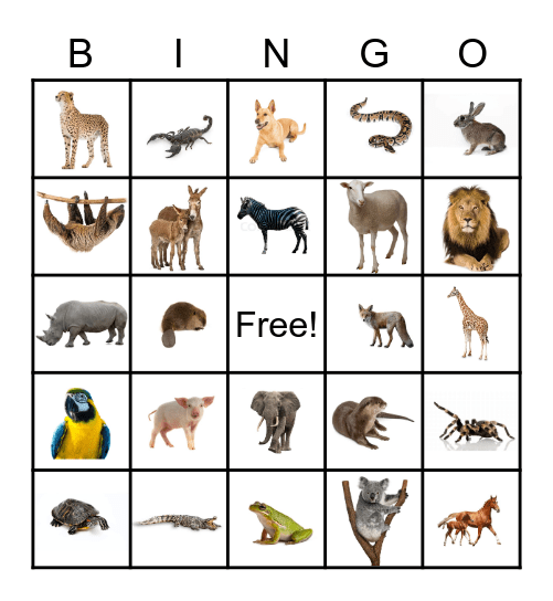 Animal Bingo Card