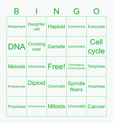 Cellular Division Bingo Card