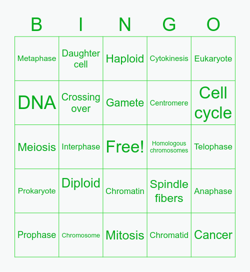 Cellular Division Bingo Card