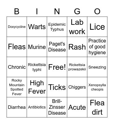 Typhus Bingo Card