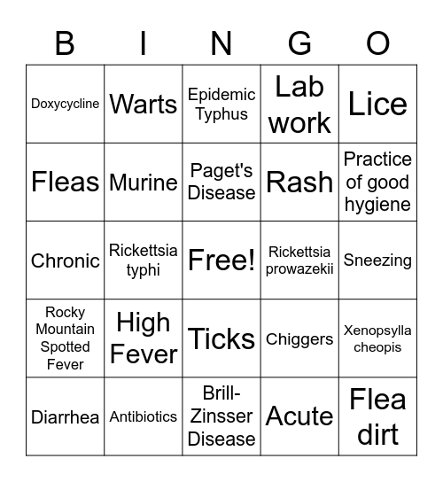 Typhus Bingo Card