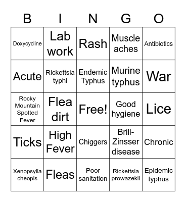 Typhus Bingo Card