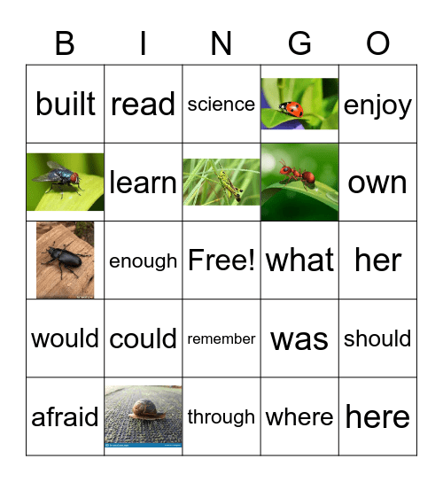 CREEPY CRAWLIES BINGO Card
