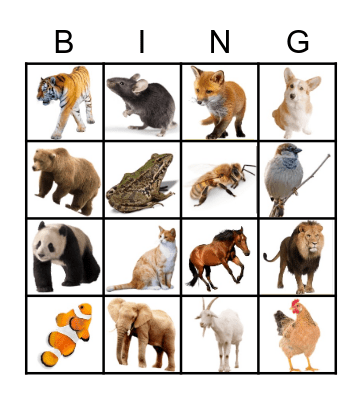 ANIMALS Bingo Card