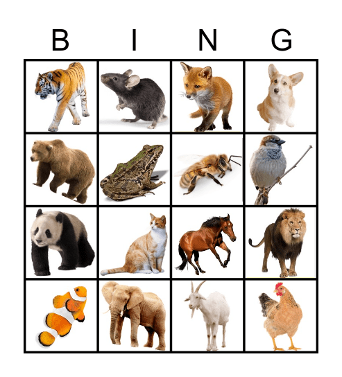 ANIMALS Bingo Card
