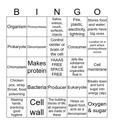 into to cells bingo Card