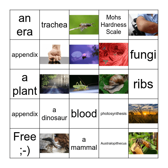 Revision - Biology and Natural History Bingo Card