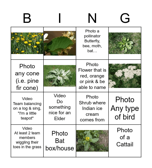 Aboriginal Day Scavenger-Hunt Bingo Card