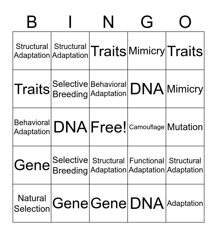 Unit 2 Bingo Card