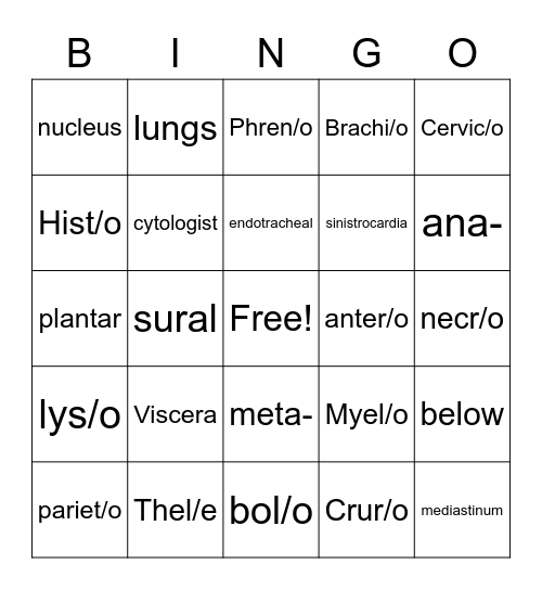 Mod 1 Med Term Bingo Card