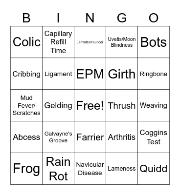 Horse Health Bingo Card