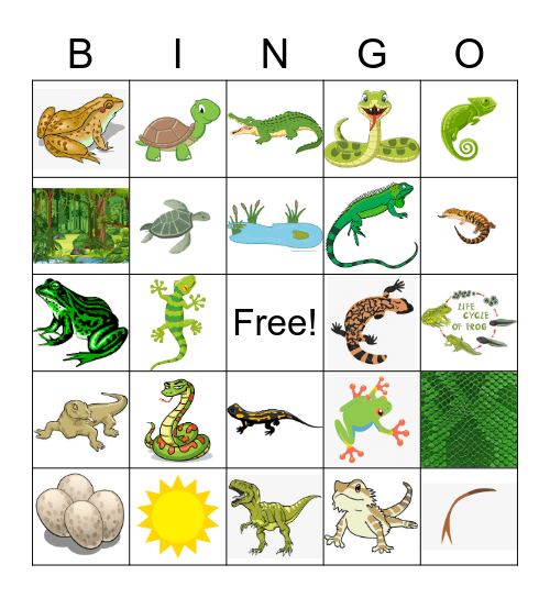 Reptile and Amphibian Bingo! Bingo Card