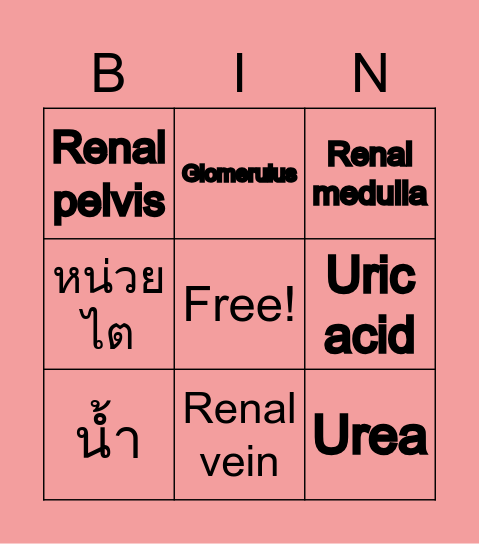 Bingo Quiz Game (KIDNEY) Bingo Card