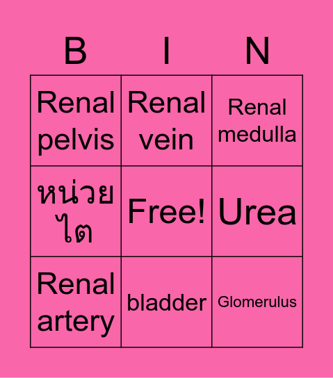BINGO Quiz Game (KIDNEY) Bingo Card