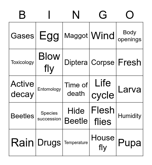 Forensic entomology  Bingo Card