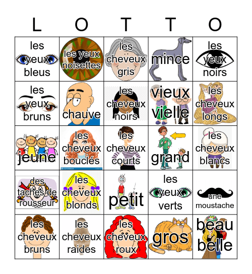 Les Caractéristiques Physique Bingo Card