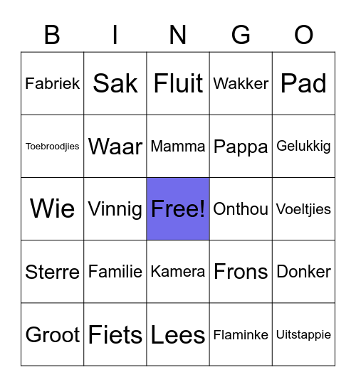 Afrikaans Leesbegrip Bingo Card