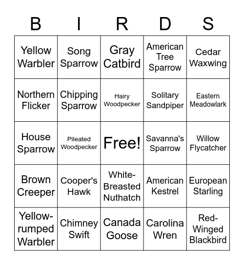 Fort Island Bird Bingo - Adult (Advanced) Bingo Card